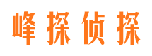 潮阳市婚外情调查